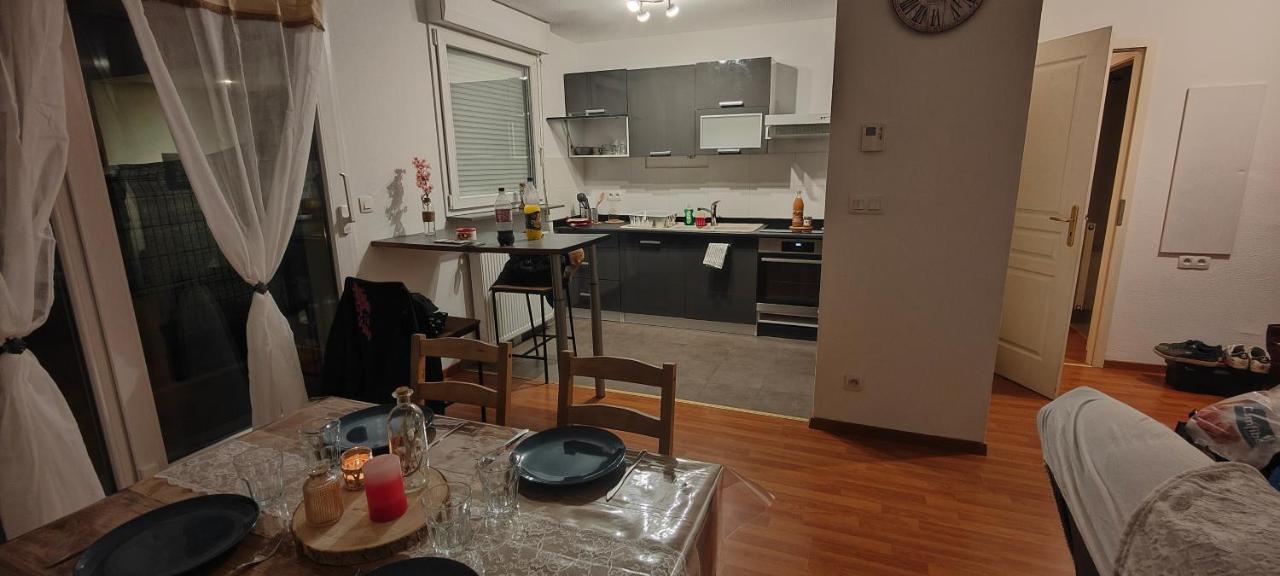 Appartement Rez-De-Chausse Dans Une Petite Ville Au Pied Du Massif Des Vosges Saverne Dış mekan fotoğraf
